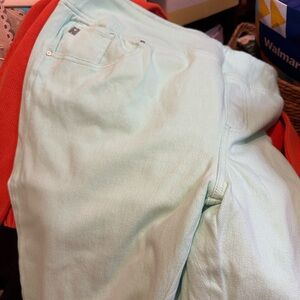 Belle by Kim Gravel Mint Cropped Pants